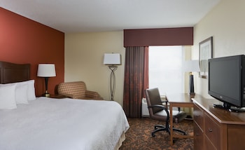 Room, 1 King Bed, Accessible, Non Smoking