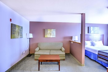 Standard Room, 1 King Bed, Accessible, Bathtub (with Sofabed)