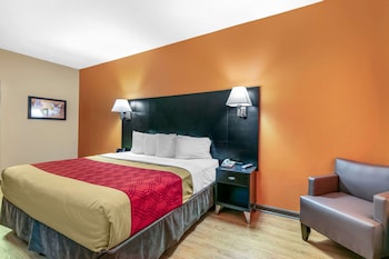 Room, 1 King Bed, Accessible, Non Smoking