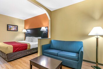 Standard Room, 1 King Bed with Sofa bed, Non Smoking