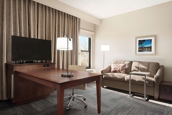 King Studio Suite