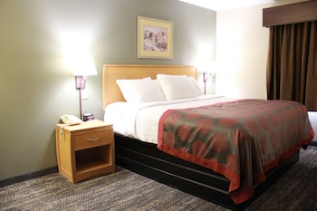 Room, 1 King Bed, Non Smoking
