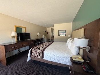 Room, 1 King Bed, Non Smoking