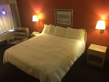 Room, 1 King Bed, Non Smoking