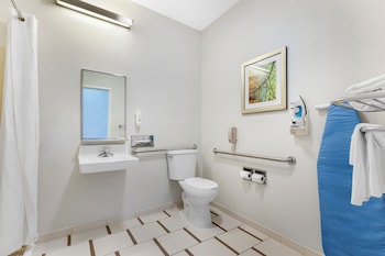 Room, 1 King Bed, Accessible, Non Smoking (Roll-In Shower)