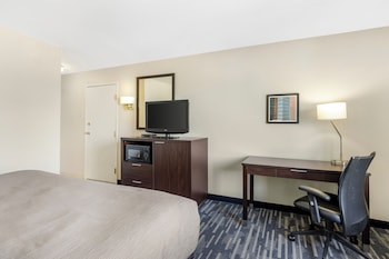 Standard Room, 1 King Bed, Non Smoking