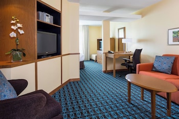 Suite, 1 King Bed with Sofa bed