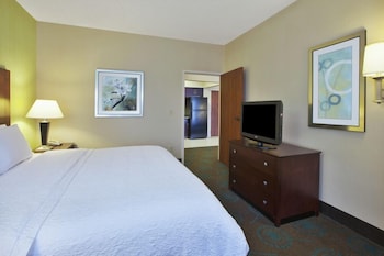 Suite, 1 King Bed with Sofa bed W/ Accessible Tub