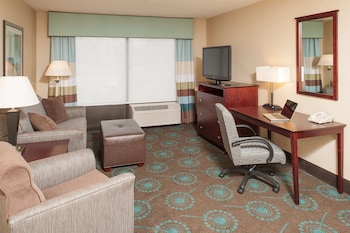 Suite, 1 King Bed with Sofa bed W/ Accessible Tub