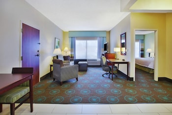 Suite, 1 King Bed with Sofa bed W/ Accessible Tub