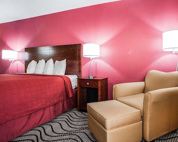 Standard Room, 1 King Bed, Non Smoking