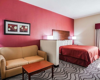 Suite, 1 King Bed with Sofa bed, Non Smoking