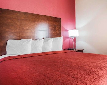 Suite, 1 King Bed with Sofa bed, Non Smoking