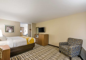 Room, 1 Queen Bed, Non Smoking