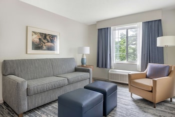 1 Bedroom King Suite