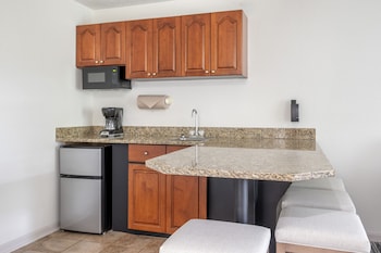 1 Bedroom King Suite