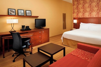 Room, 1 King Bed with Sofa bed (Mobility Accessible, Roll-In Shower)