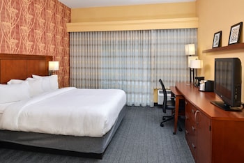 Room, 1 King Bed with Sofa bed (Hearing Accessible)