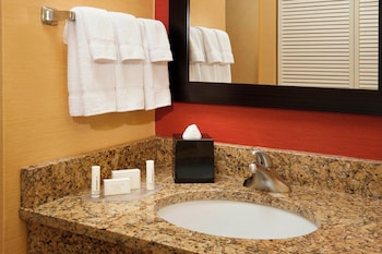Room, 1 King Bed with Sofa bed (Mobility Accessible, Roll-In Shower)