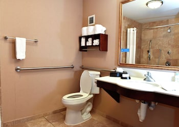 One King Bed, Non-Smoking, Roll In Shower