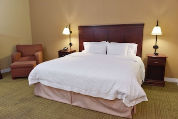 One King Bed, Non-Smoking, Roll In Shower
