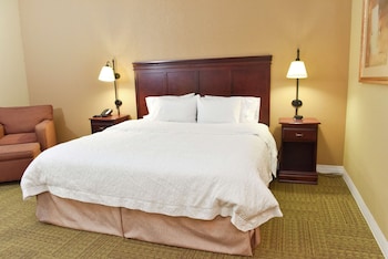 Room, 1 King Bed, Accessible