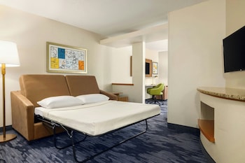 Suite, 1 King Bed with Sofa bed