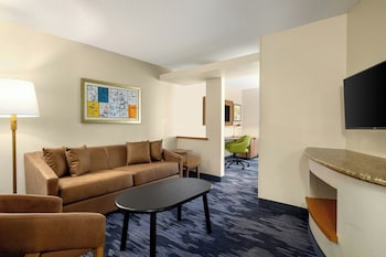 Suite, 1 King Bed with Sofa bed