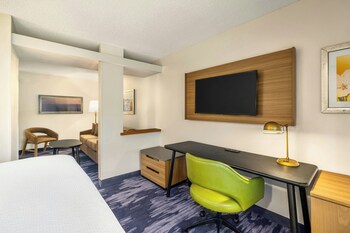 Suite, 1 King Bed with Sofa bed