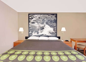 Room, 1 King Bed, Smoking