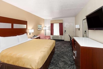 Basic Single Room, 1 King Bed, Smoking