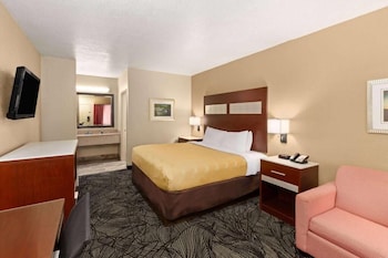 Basic Room, 1 King Bed
