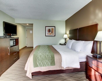 Standard Room, 1 King Bed, Non Smoking
