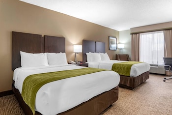 Standard Room, 2 Queen Beds