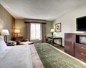 Standard Room, 1 King Bed, Non Smoking