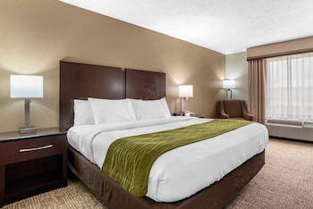 Standard Room, 1 King Bed, Non Smoking