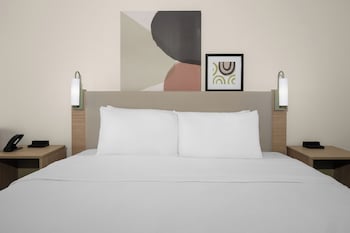 Room, 1 King Bed