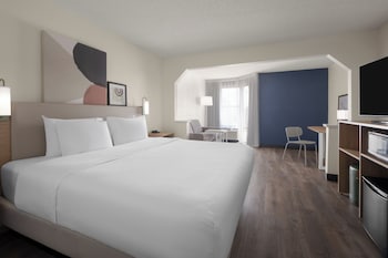 Room, 1 King Bed