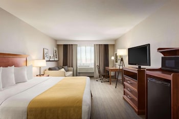 Room, 1 King Bed, Accessible, Non Smoking