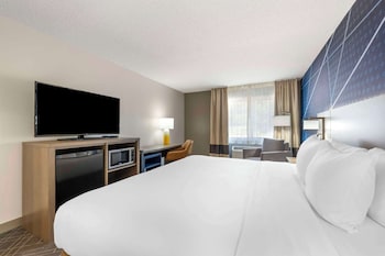 Standard Room, 1 King Bed, Non Smoking