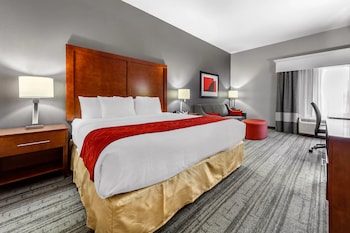 Standard Room, 1 King Bed, Non Smoking
