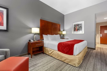 Room, 1 King Bed, Accessible, Non Smoking
