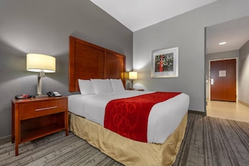 Room, 1 King Bed, Accessible, Non Smoking