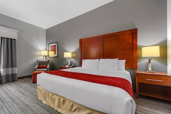 Room, 1 King Bed, Accessible, Non Smoking