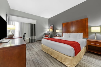 Room, 1 King Bed, Accessible, Non Smoking