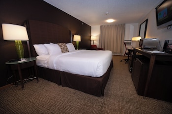 Room, 1 King Bed, Non Smoking