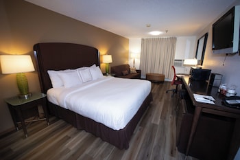 Room, 1 King Bed, Non Smoking