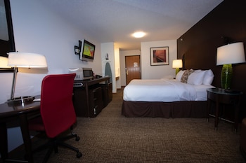 Room, 1 King Bed, Non Smoking