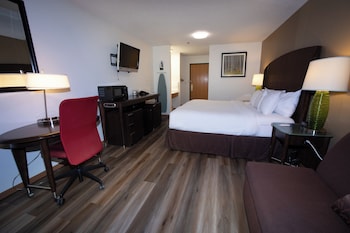 Room, 1 King Bed, Mobility Accessible, Non Smoking (Mobility, Roll-in Shower)