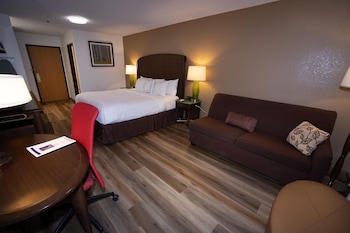 Room, 1 King Bed, Mobility Accessible, Non Smoking (Mobility, Roll-in Shower)